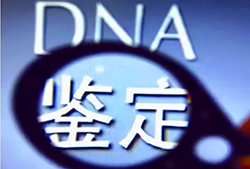 定西DNA鉴定中心需要如何做鉴定，定西亲子鉴定多久能出报告